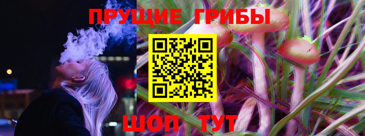 Приморско-Ахтарск  Псилоцибиновые грибы мухоморы  Вход с VPN 